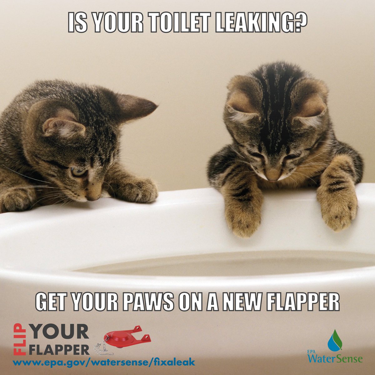 NARUC's tweet image. Calling all the cat lovers to #FlipYourFlapper! 🐱📢Your toilet flapper should be replaced at least every five years to ensure a good seal and avoid leaks. Enjoy #FixaLeakWeek to check if yours is up to date.💧  @EPAwatersense