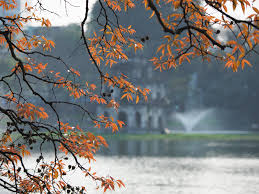 Multiple Esclerosis tweet media