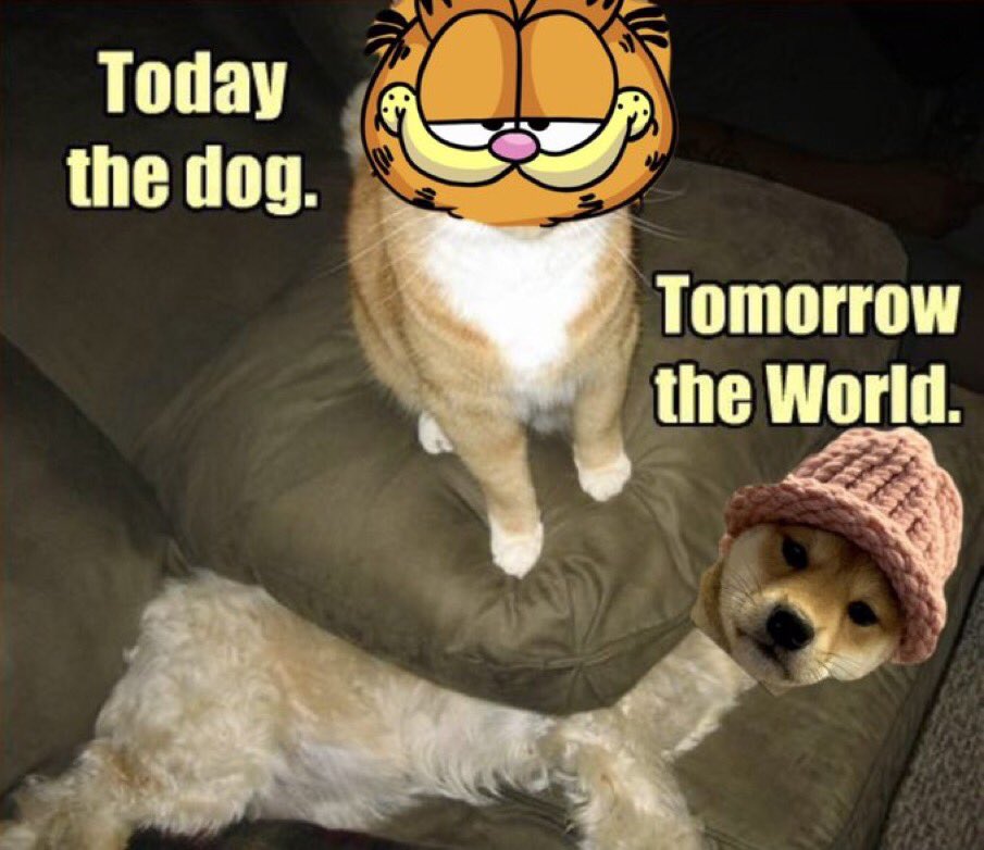 1BEASTonX's tweet photo. @Poe_Ether $GARF MORNING 

IF YOU MISSED $WIF 

ITS GOING TO HURT MISSING $GARF

CA:

Pz1b7iALFqzsgdL9ca6P3NZvTXwSF1koaQqnNohVFcT https://t.co/0lgsTdlHzw