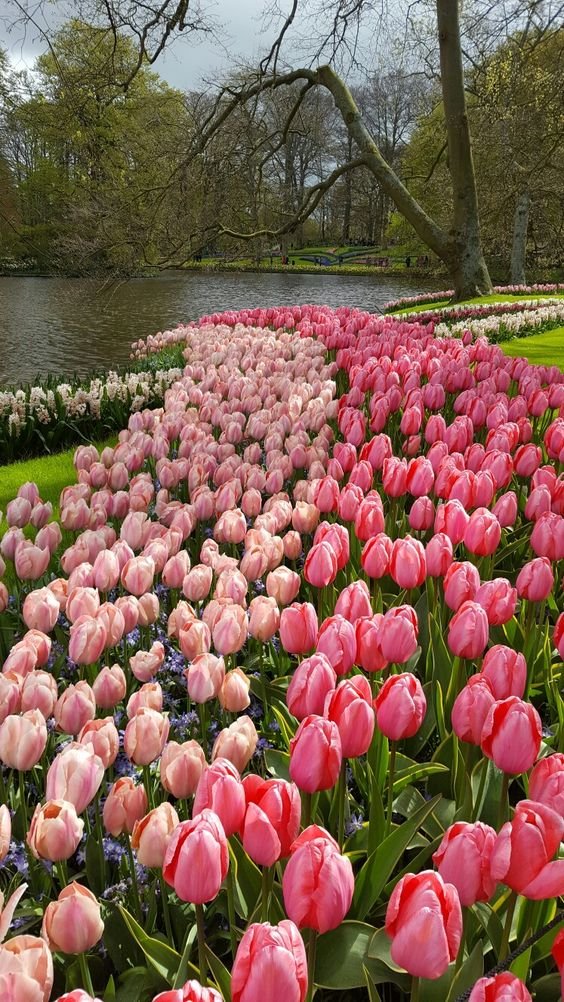 La vie est belle (@lavieestbelie) on Twitter photo 