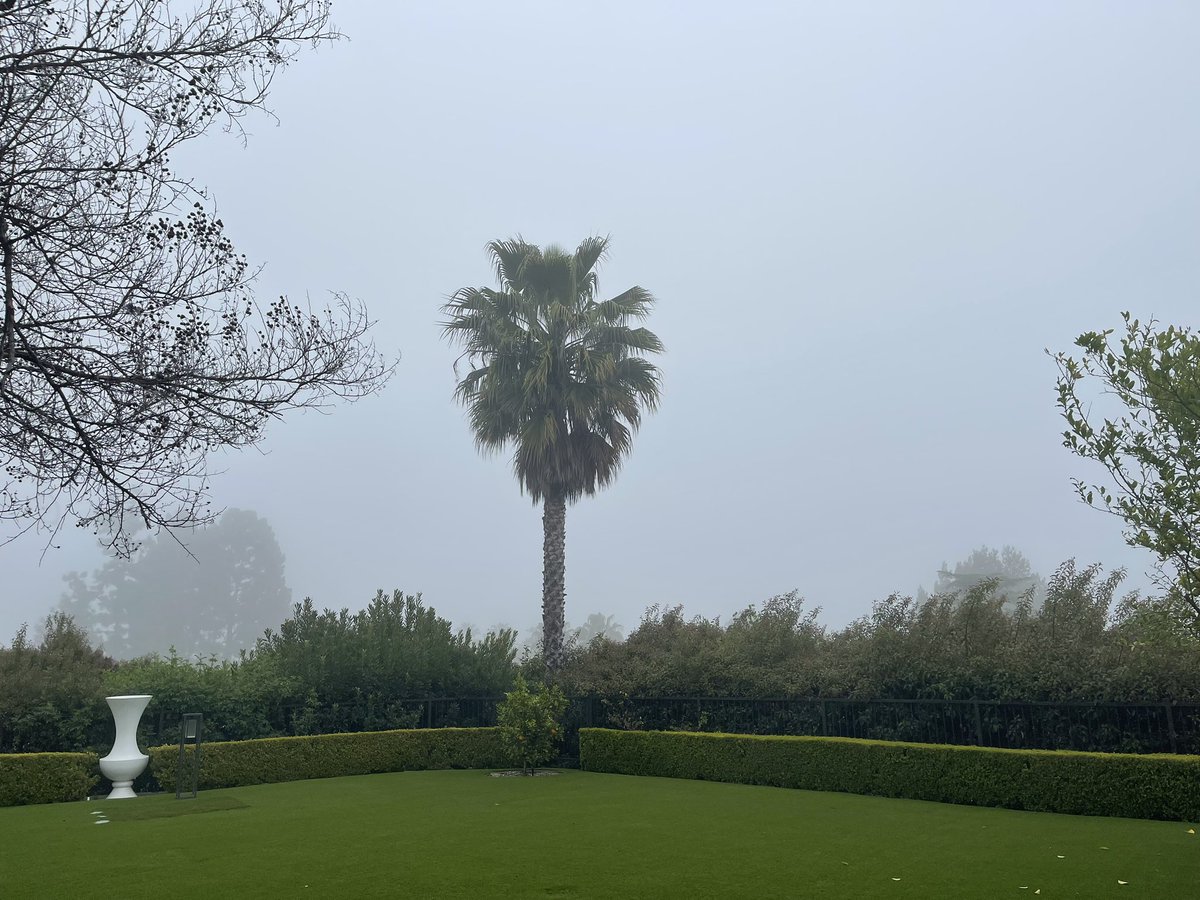 FireBirdLA1's tweet photo. Morning calm, get me ready for a hectic day ☕️ #PowerUp https://t.co/ymeJF5kQG1