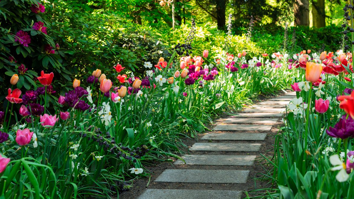 NOAANCEI's tweet photo. It’s National Goof Off Day—we’re not telling you how to behave at work on TGIF but take a mini mind detour and check out when your last #SpringFreeze may be. 🌸 The spring equinox just passed, so hopefully warm weather will follow. Learn more: https://t.co/nUzESnDbrI https://t.co/qTOO7gIrbb