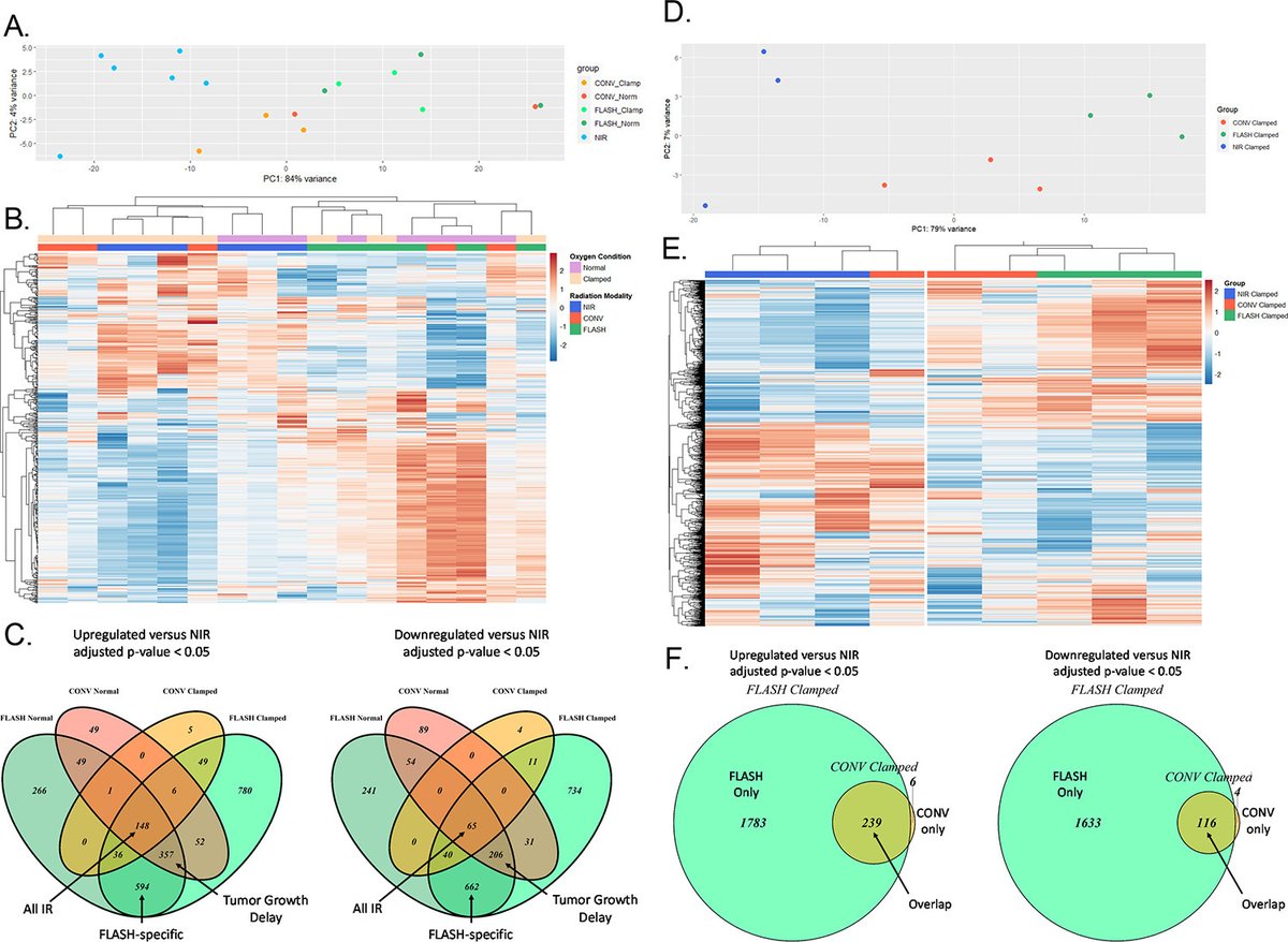 New in the #RedJournal, @VozeninC et al share their article on how acute hypoxia does not alter tumor sensitivity to FLASH radiotherapy. #radonc bit.ly/vozenin2