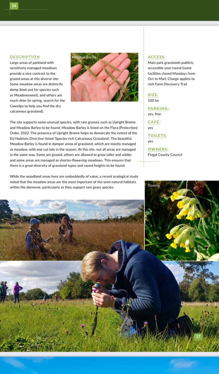 Somebody familiar has a cameo in the Newbridge Demesne account in this new ‘The Grasslands Trail’ document, which can be viewed for free here: greatirishgrasslands.ie/wp-content/upl… @phoebeob1 @murlong77 😁
