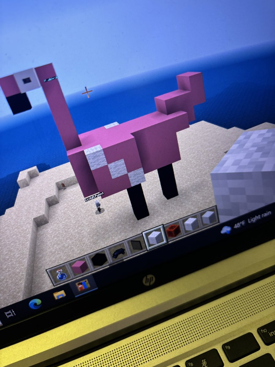 K Nicki Walker tweet media