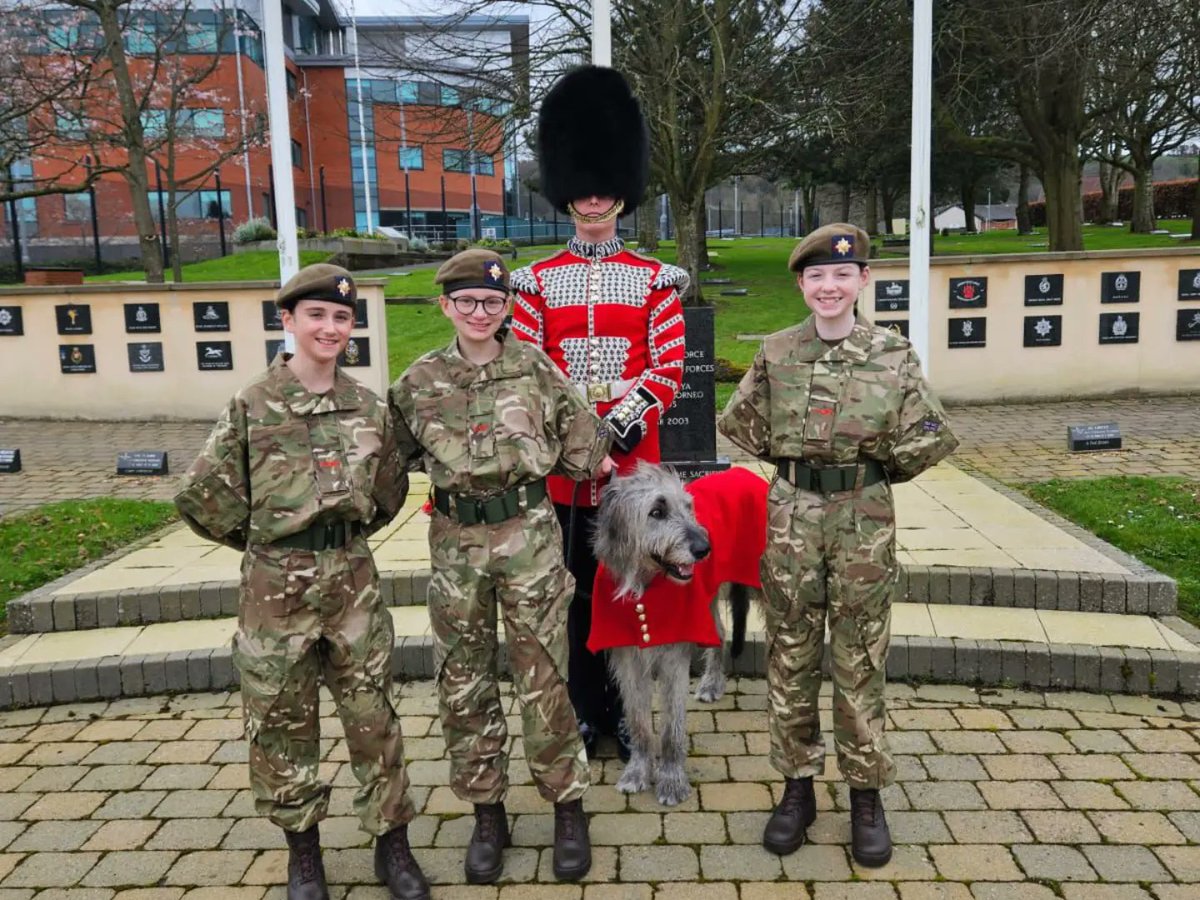 irish_guards's tweet photo. Seamus is currently on a tour of N.Ireland, and took the time out of his busy schedule to catch up with some of our Irish Guards Army Cadet detachments - the Mini Micks.

#IrishGuards☘️💂🏻‍♀️ #Britisharmy 
#MiniMicks #séamus🐺 #YouBelongHere 
@armycareersni https://t.co/lFZvdHSO0x