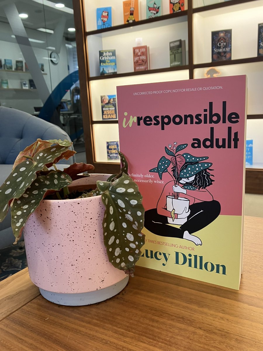 Something exciting this way comes…I spy a new @lucy_dillon novel #IrresponsibleAdult