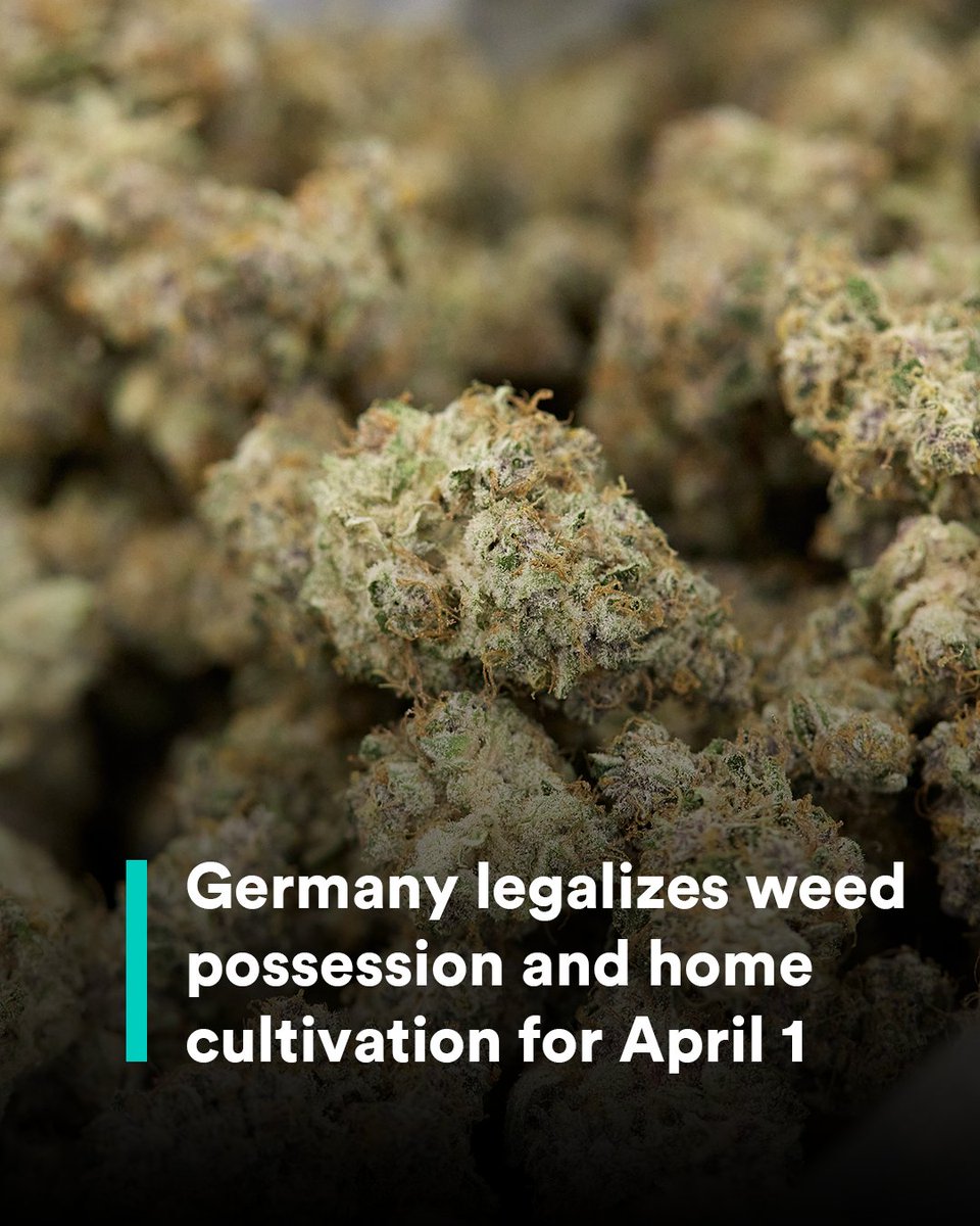 weedmaps's tweet photo. Germany has legalized cannabis possession and home cultivation to go into effect on April 1 🌿🎉

Learn more: https://t.co/KDmcLrDQFW https://t.co/O4RShISuPH