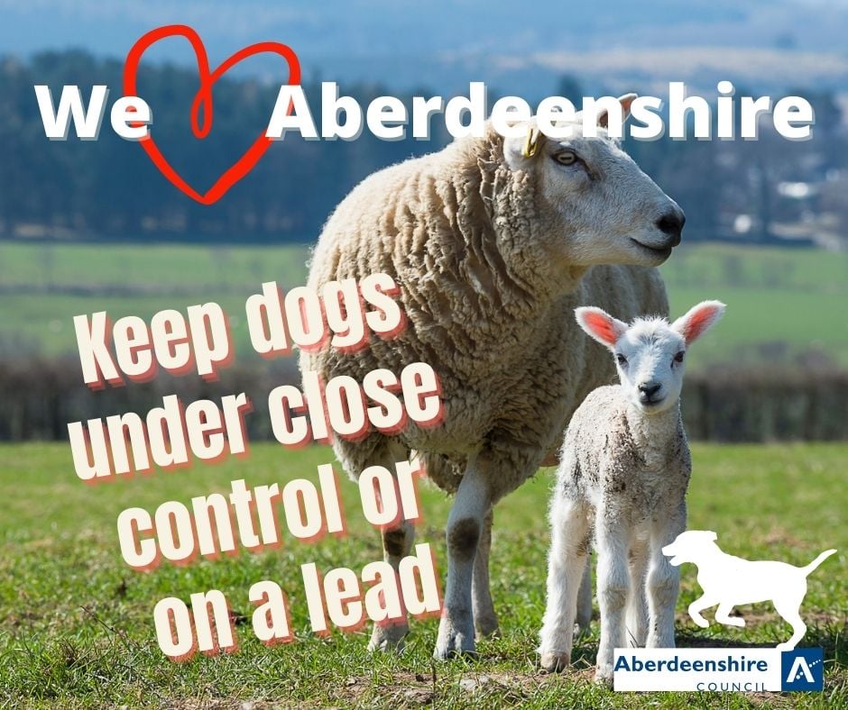 🐏#Lambing is underway in #Aberdeenshire. 🐏 If you're visiting our #countryside this weekend, be a responsible dog owner; 🐾Keep dogs under proper control, at heel or short lead. 🐾No dogs in fields with lambs or other young livestock. 🐾Remove dog💩 #countrysideambassador