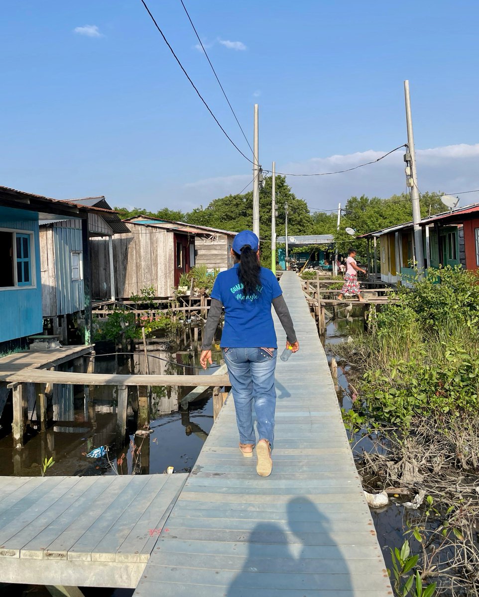 AcnurColombia's tweet photo. 📍Turbo
Apoyamos a la corporación #GuardianesDelMangle en su esfuerzo por proteger los manglares, que son fuente de vida para el territorio.🇺🇳
🌊 Nos unimos para reconocer la labor de las comunidades comprometidas en mitigar el impacto del cambio climático.
#DíaMundialdelAgua https://t.co/sOsgK9tGWF