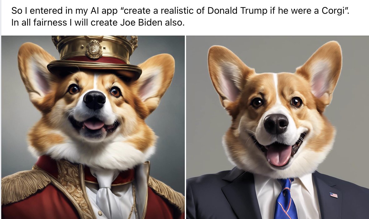 #trump #corgis #biden <a href="/MichaelCohen212/">Michael Cohen</a>  You can probably figure who is who.