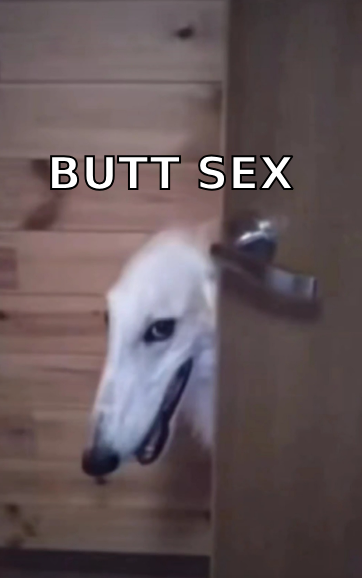 MemeCoinMaster2's tweet photo. Heyyyyyy honey, I'm hommmmmeeeeee
$BORZ
@WolfgangBorzoi
@Sartoshi0x @Thorshammergems @YenTecSolutions @TheSolanaOracle
#solana #bnb #slerf #bonk #shibarmy #memecoin #100x #gem #godme #cia #smole #dome #wif #apewifhat #wisdm https://t.co/S9d2e8l5YV