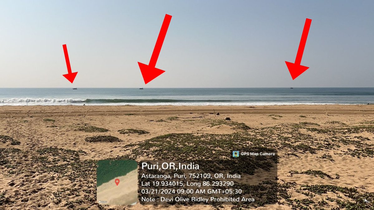 SoumyaMarineWL's tweet image. Update today and yesterday: Rampant fishing continue in #Devi Rookery #OliveRidley Prohibited Area despite seizure efforts. Non-compliance with #SupremeCourt directives &amp;amp; #OMFRA undermines law enforcement.We demand strict adherence to regulations for effective efforts. @dfopuriwl