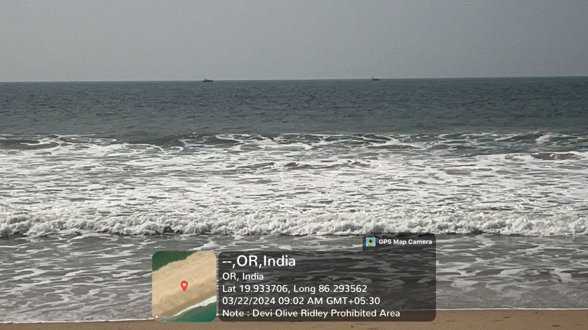 SoumyaMarineWL's tweet image. Update today and yesterday: Rampant fishing continue in #Devi Rookery #OliveRidley Prohibited Area despite seizure efforts. Non-compliance with #SupremeCourt directives &amp;amp; #OMFRA undermines law enforcement.We demand strict adherence to regulations for effective efforts. @dfopuriwl