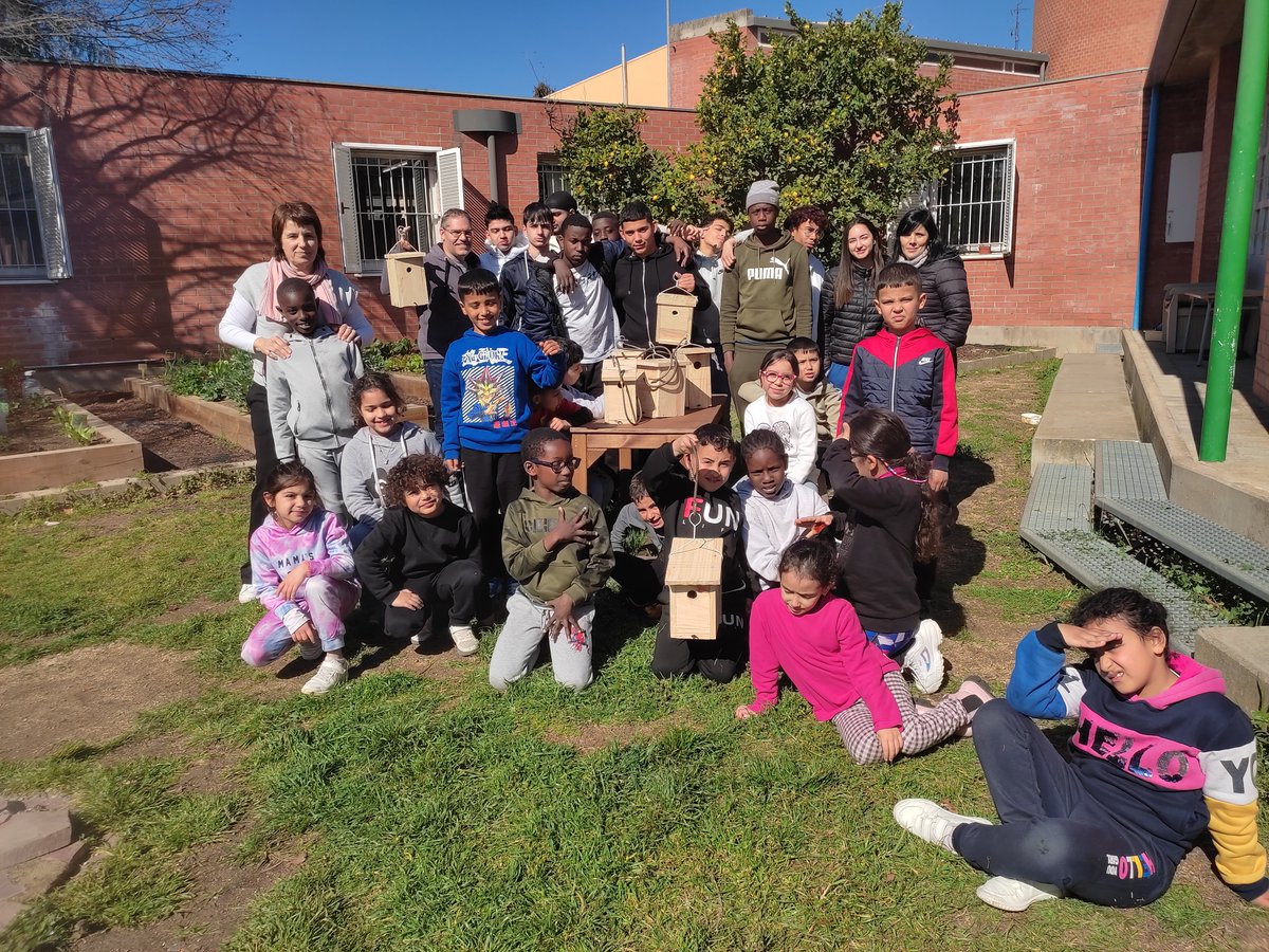 i_SantaEugenia's tweet photo. 👉 Els alumnes de Projecte Singular han dissenyat i construït unes caixes niu

🐦 Aquest treball s'ha fet des de la matèria de Tecnologia i s'ha coordinat amb l'Escola Veïnat de Salt.

🔗 https://t.co/3lh90HUSRh

#isantaeugènia #eso #girona #projectesingular https://t.co/bSFoJcJ1Xm