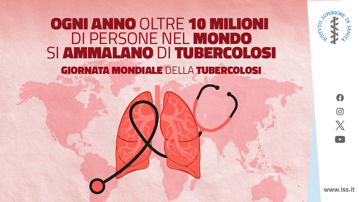 👥 Oggi la #turbercolosi colpisce oltre 10 milioni di persone all'anno, prevalentemente nei Paesi a basso e medio reddito, e nonostante i progressi, ha causato 1,3 milioni di morti nel 2022. Per approfondire 👇🏻 bit.ly/3TtT4Mj