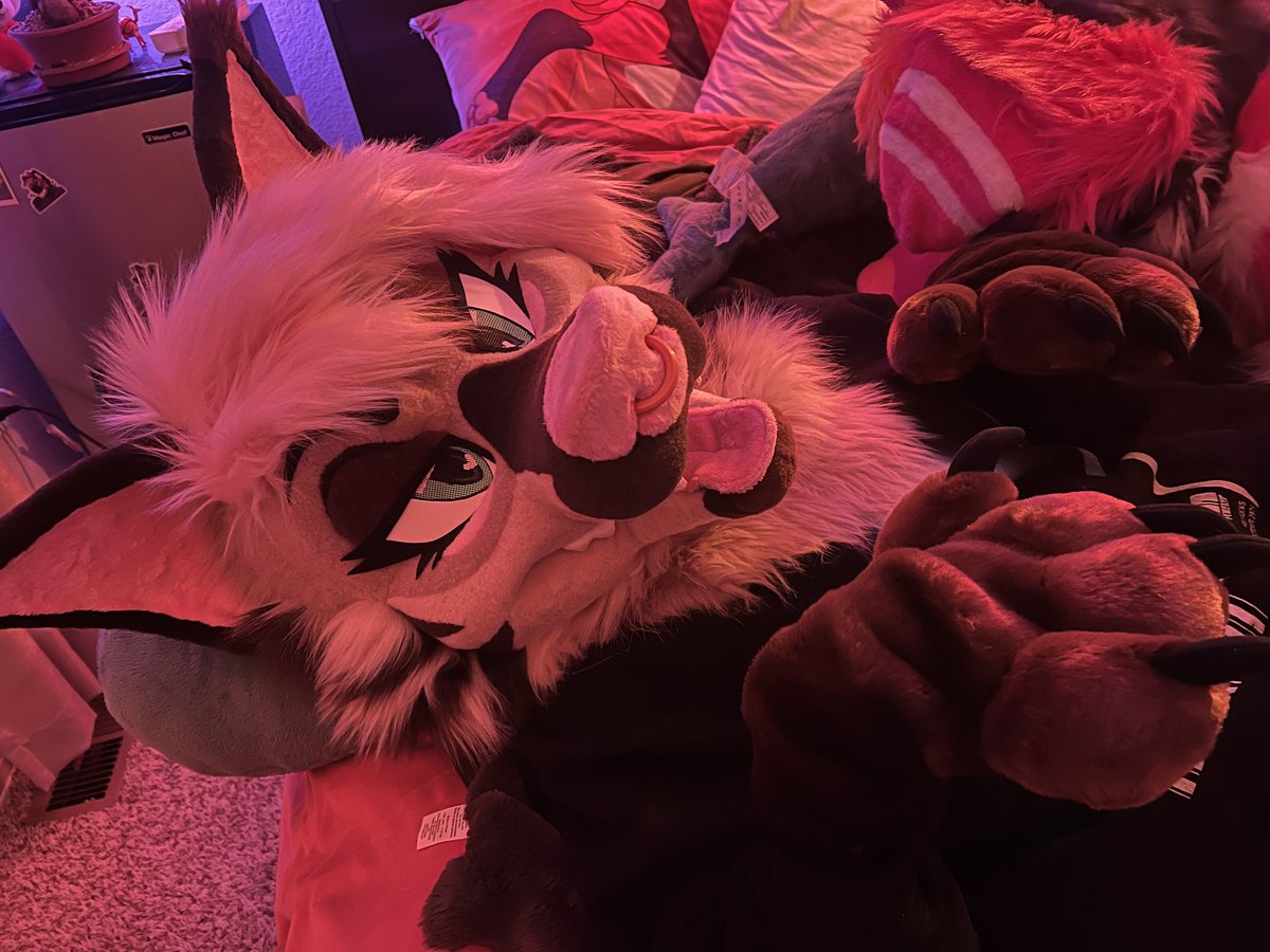 Get over here and cuddle me 💖 #FursuitFriday