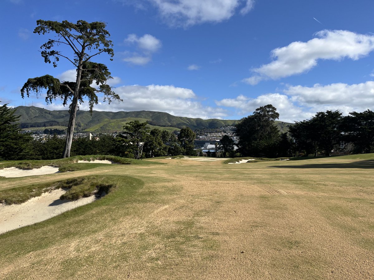 Javier Campos tweet media