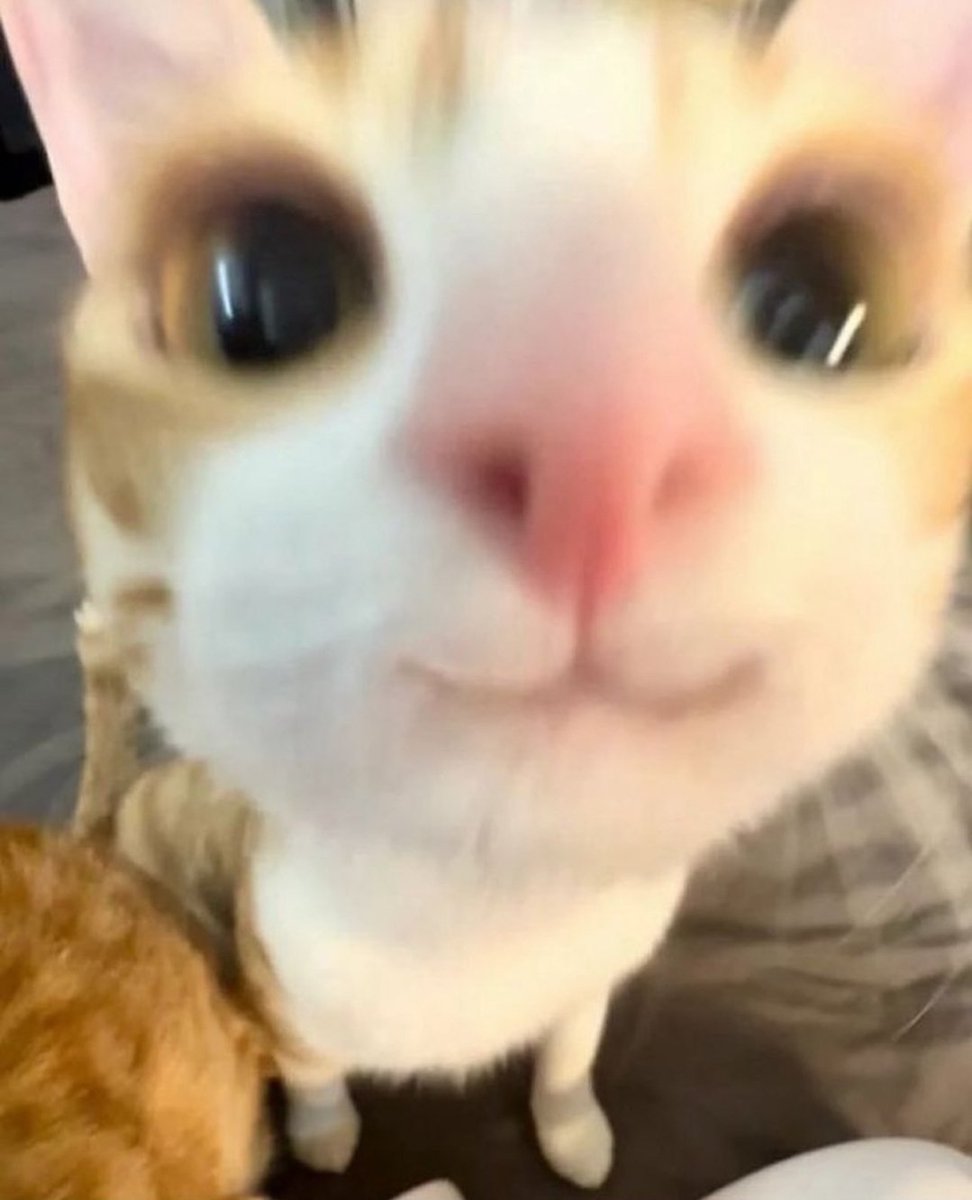 cristinazltv's tweet image. it&apos;s friday and I&apos;m pushing to prod what are the chances I break everythig?