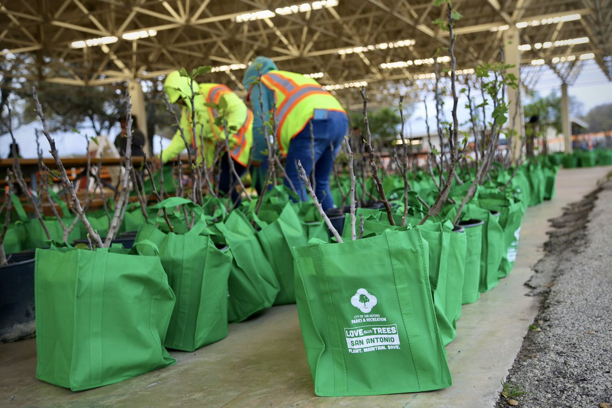 SAParksandRec's tweet photo. San Antonio, we have an action packed weekend for you, here are #3ThingsToTry!! π
1οΈβ£ #SweetNGreen - πππ
We are distributing 1,000 fruit trees to San Antonio residents for FREE! π
ποΈ Sat, March 23
π Monterrey Park
πΆββοΈ Walk Up Event | ποΈ FREE
β° Distribution begins at 8 a.m. https://t.co/ulQIG5QsMN