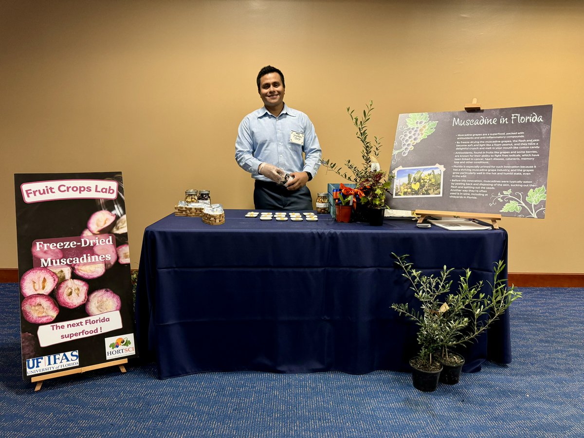UFfruitcrops's tweet photo. #MuscaTips: We introduced #FreezeDried muscadines🟣to visitors in the #FlavorsofFlorida 2024 last night at @SwampUF🐊. People loved it! This sweet and crunchy #superfood experience were well received. Have you tried it already? @UF_IFAS @ufhorticulture @UFPostharvest  @FDACS https://t.co/hFuCqhX0vw