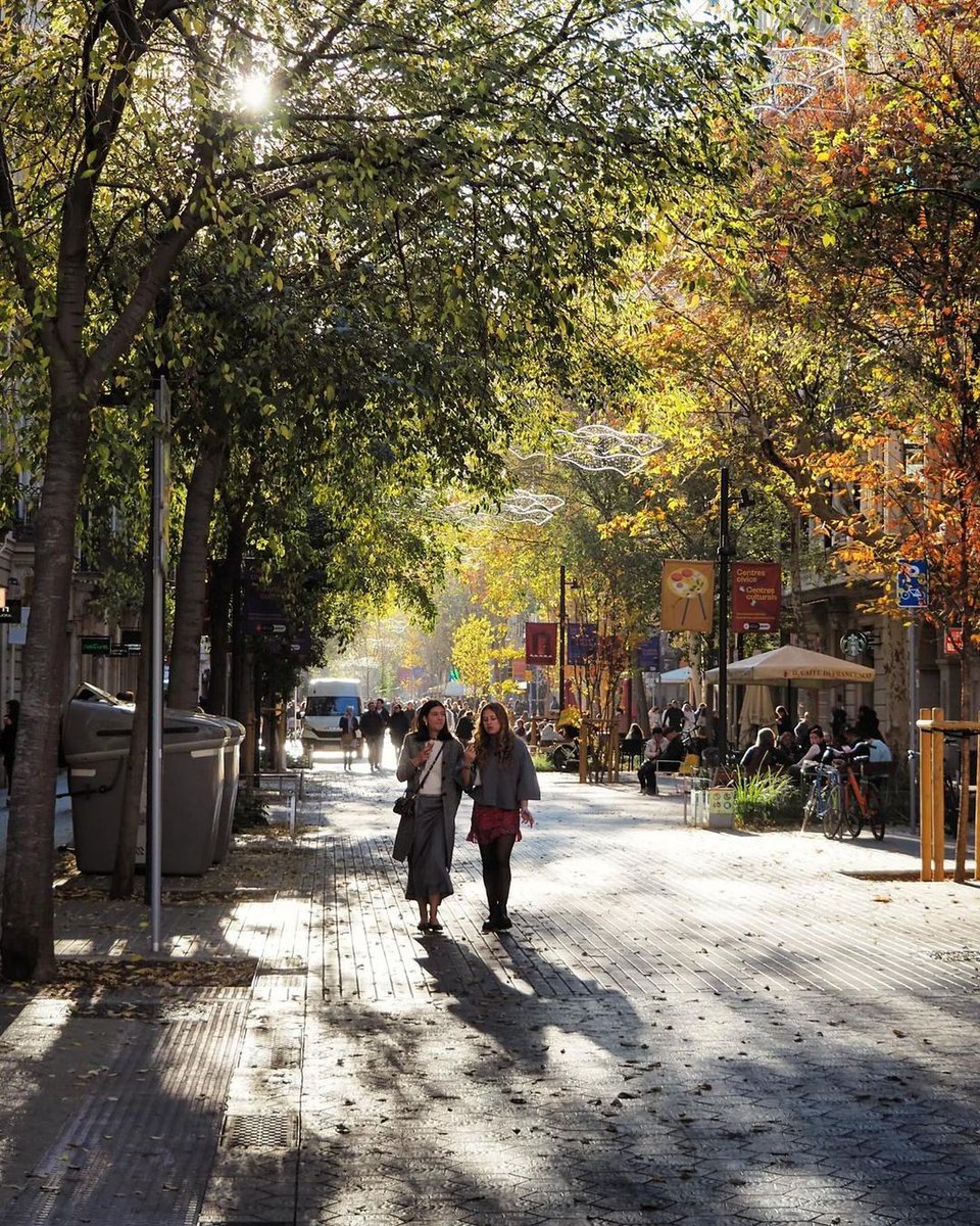 thisis_bcn_EN's tweet photo. Consell de Cent has been declared one of the best streets in the world! 🌍✨
📸 1️⃣ nathaliec136 (IG)
📸 2️⃣ boluddha (IG)
📸 3️⃣ starostka.praslavice (IG)
📸 4️⃣ snapswithsara_ (IG)
#visitbarcelona https://t.co/wVbYXbPgaW