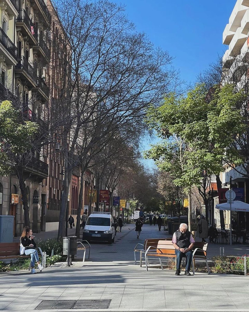 thisis_bcn_EN's tweet photo. Consell de Cent has been declared one of the best streets in the world! 🌍✨
📸 1️⃣ nathaliec136 (IG)
📸 2️⃣ boluddha (IG)
📸 3️⃣ starostka.praslavice (IG)
📸 4️⃣ snapswithsara_ (IG)
#visitbarcelona https://t.co/wVbYXbPgaW