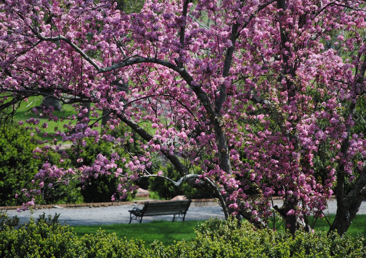 Spring has sprung in Loudoun! 🌸🌼 #LoveLoudoun 📸: @morvenpark