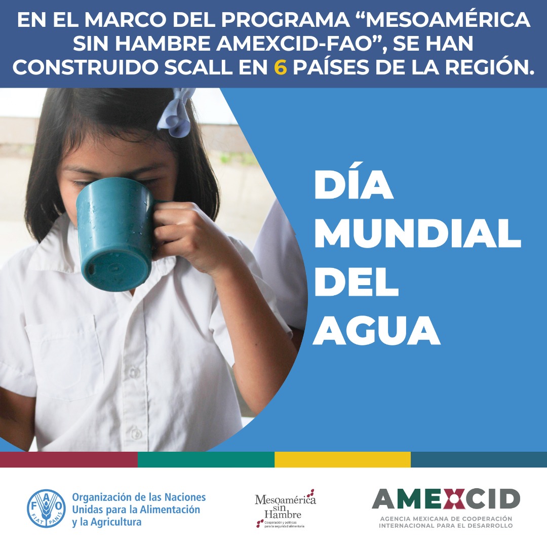 FAOMesoamerica's tweet photo. Los sistemas de captación de #AguaDeLluvia #SCALL recolectan y almacenan el agua de lluvia para su aprovechamiento. Contribuyen a satisfacer la demanda de agua, promoviendo la autosuficiencia y el uso racional del recurso.
#DíaMundialdelAgua #MesoaméricaSinHambre @AMEXCID-@FAO https://t.co/Op3ghQze0J