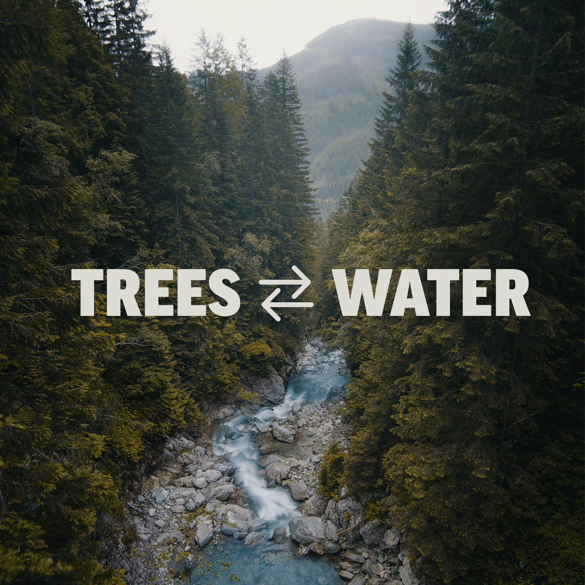 Arbor Day Foundation tweet media