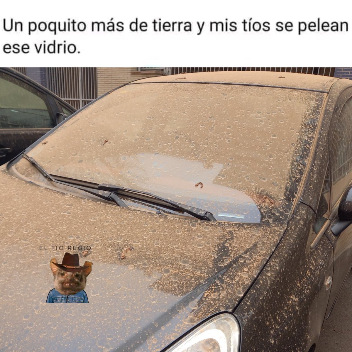 ElTioRegios's tweet photo. https://t.co/KeWMEEnrvF