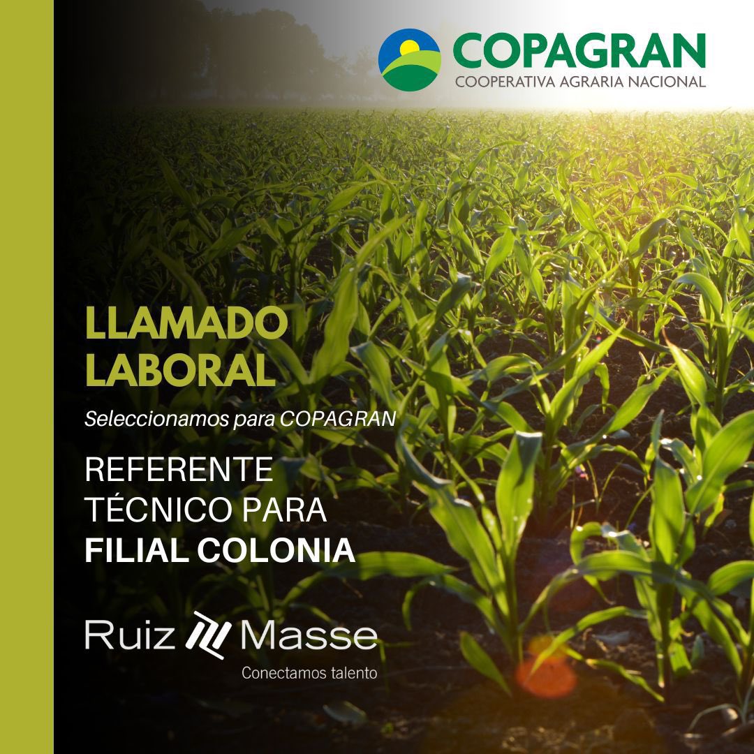 Marcelo Fraga tweet media