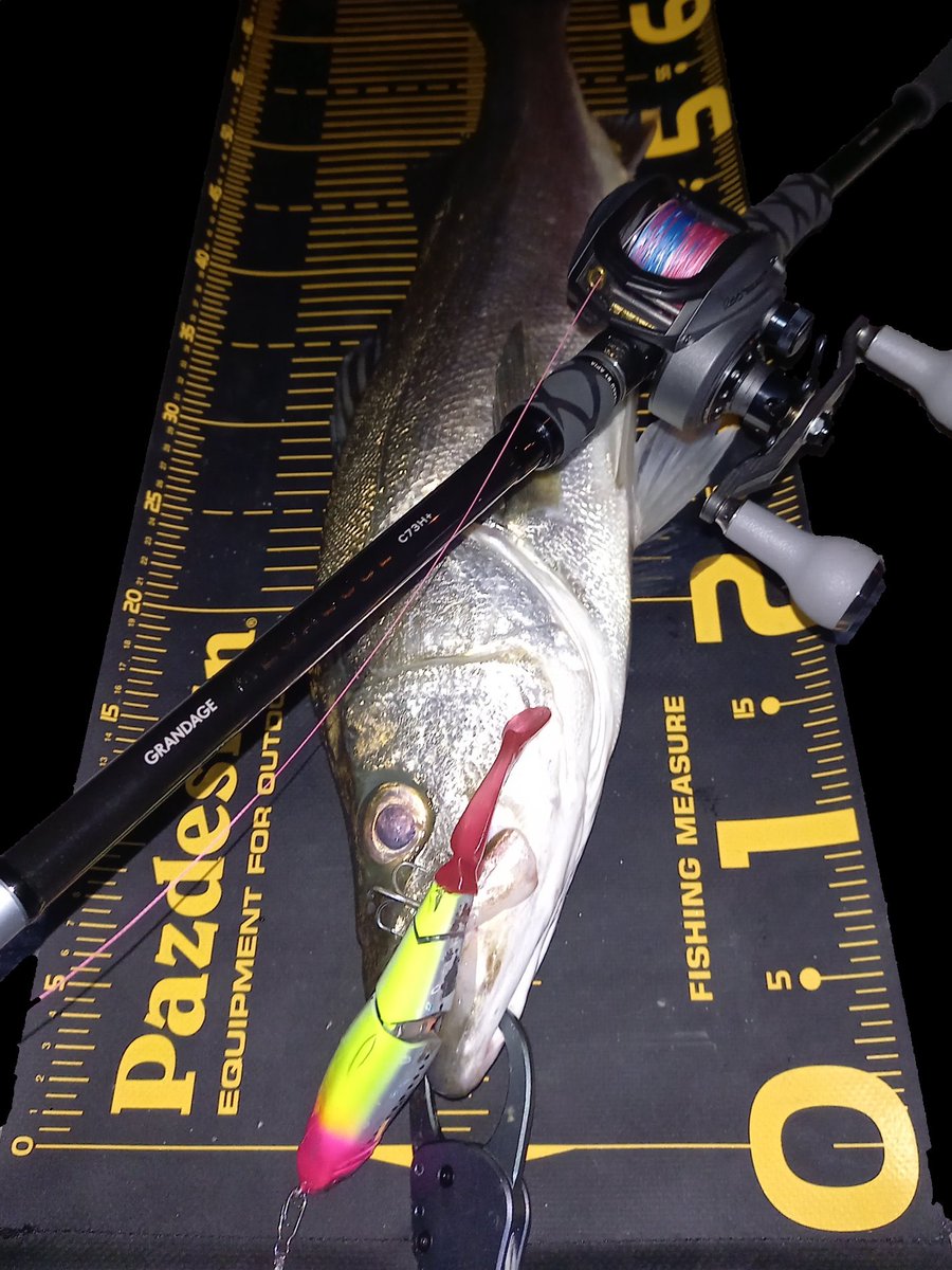 sumida_hunter's tweet photo. 釣れない時はブルージュに助けられる🤭
#APIA
#MEGASOUL
#C73H+
#ブルージュ190ss
#ドリフト https://t.co/CaYKIa73b0