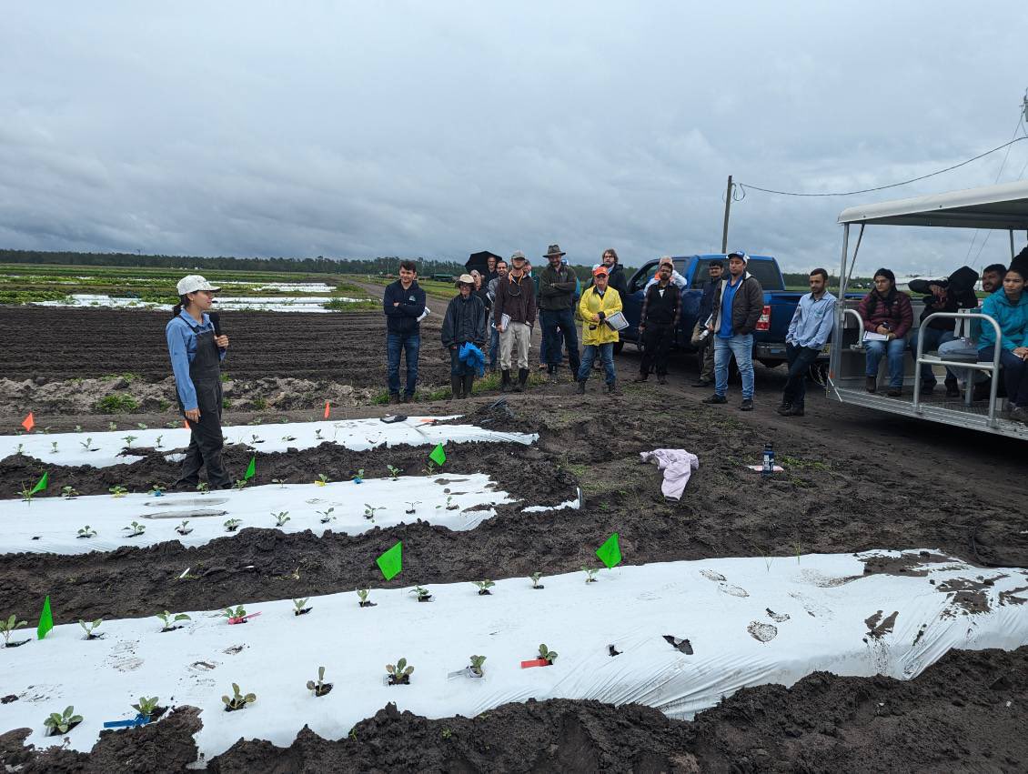 ChrissyWozniak's tweet photo. It’s a not so sunny day in Florida, but still great day to check out field trials at the Hastings Agricultural Extension Center Spring Field Day! I’ve never seen such beautiful lettuce!
#flgrown #floridaag https://t.co/awytptMUx8