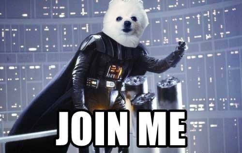 Crypnotic_'s tweet photo. @metaversejoji But $Bork WAGMI https://t.co/YC3JDrGp0J