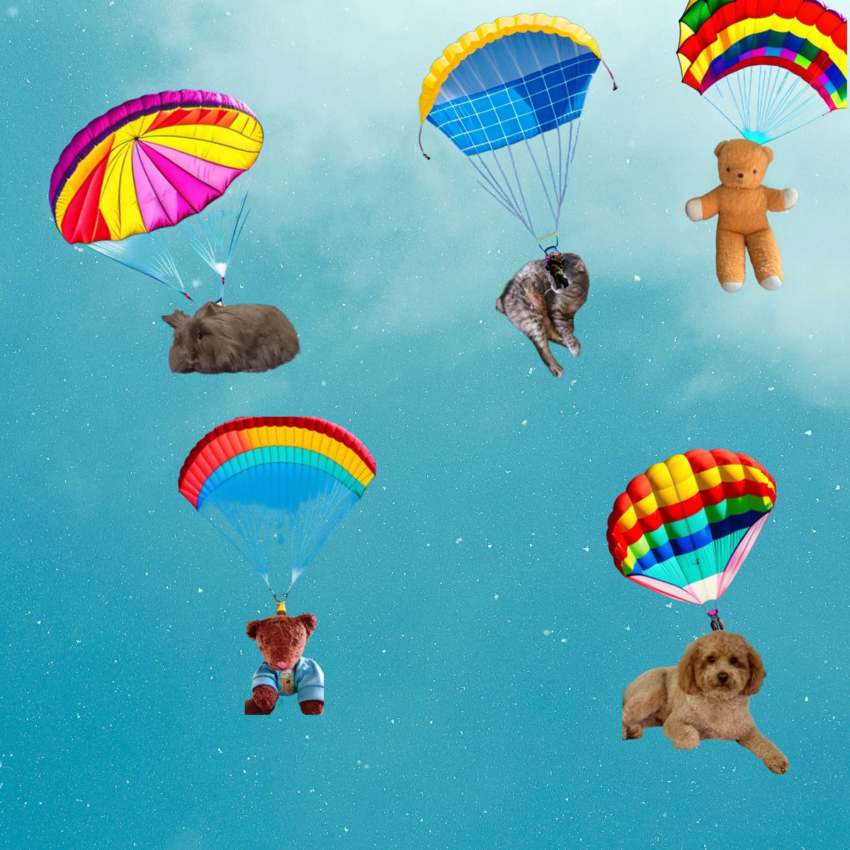 Some of me fwens parachting! Mom reached her image limit on dis pic, so she be making anuvver one ! So keep watching! In dis pic, we got, clockwise from top left: Reggie @Rosie_fluffybun Ruthie @all_fur_matters Orange Bear @monkey_maisie Milo @kweeos , Raspberry @joans1963