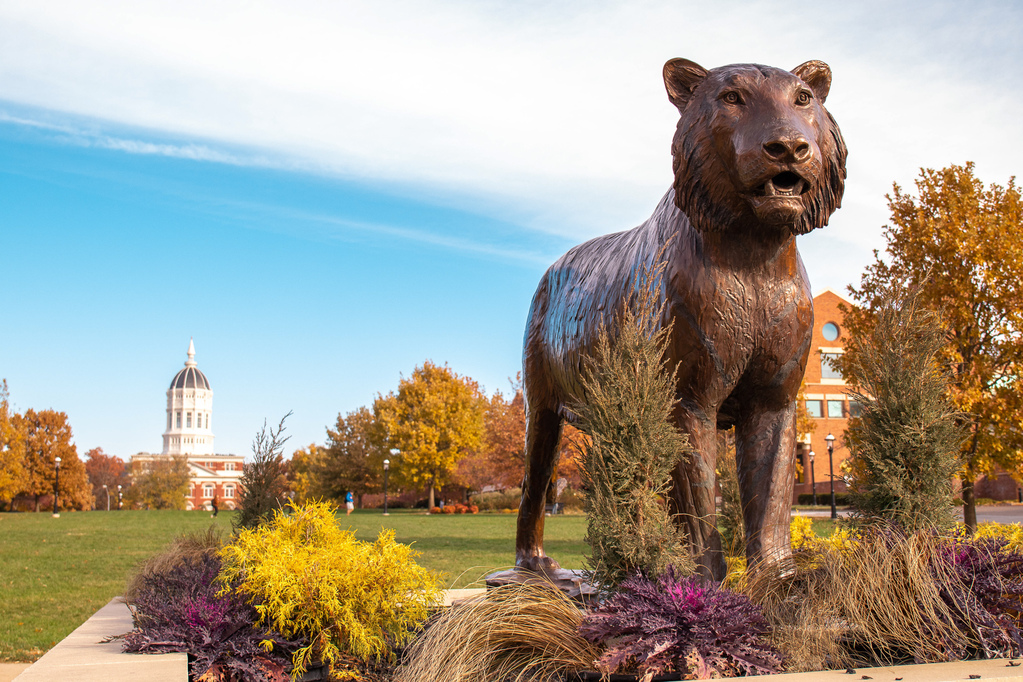 Today, we mourn one of our Tigers. Read our letter to the Mizzou community: brnw.ch/21wI8iB