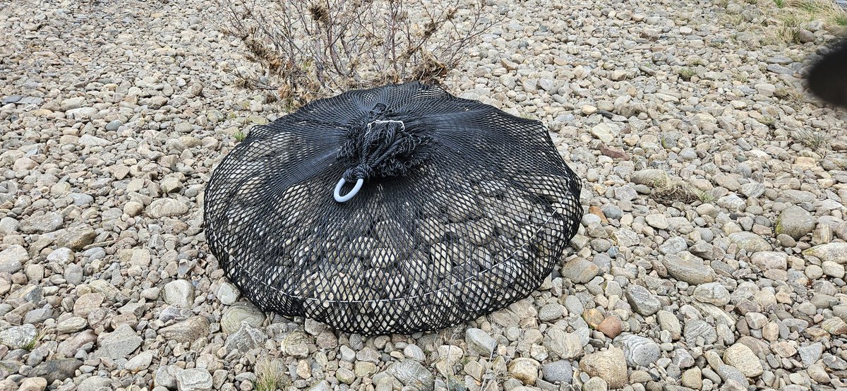 cromartyboard's tweet photo. A busy week for board staff. Two scew traps were installed ready for the smolt run. To improve their efficiency, rock bags have been placed in the river beside them. It's hoped these will help guide the smolts into the trap. A canoe run was also carried out to count sawbills. https://t.co/oJTgodzduw