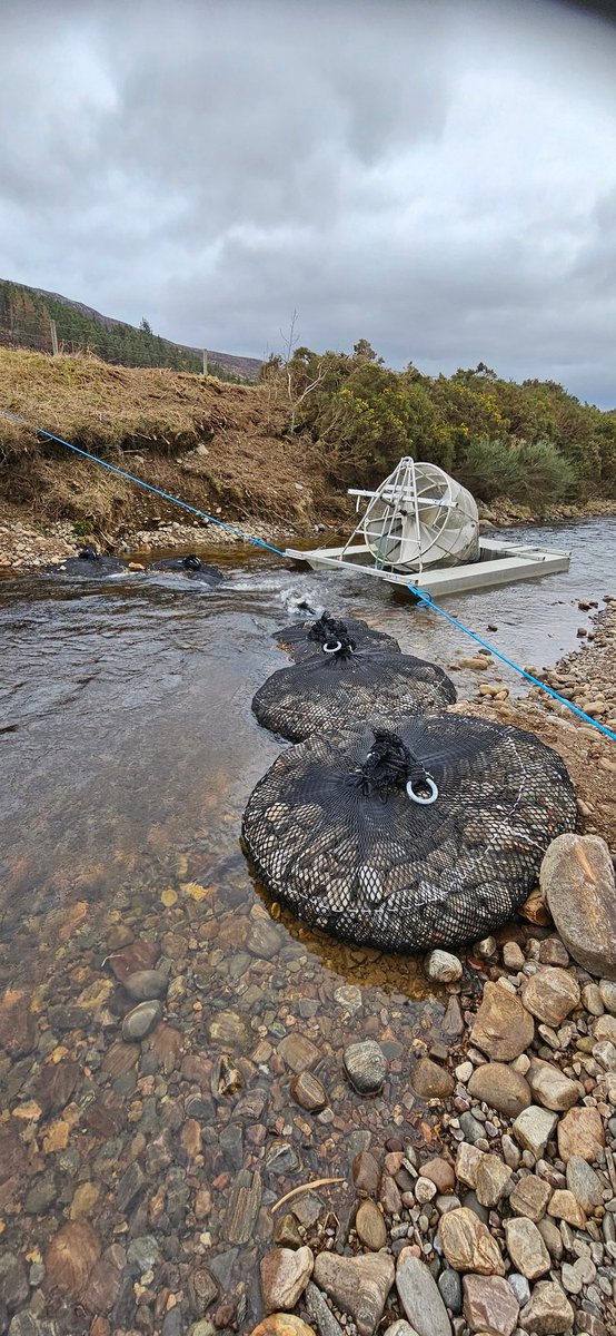 cromartyboard's tweet photo. A busy week for board staff. Two scew traps were installed ready for the smolt run. To improve their efficiency, rock bags have been placed in the river beside them. It's hoped these will help guide the smolts into the trap. A canoe run was also carried out to count sawbills. https://t.co/oJTgodzduw