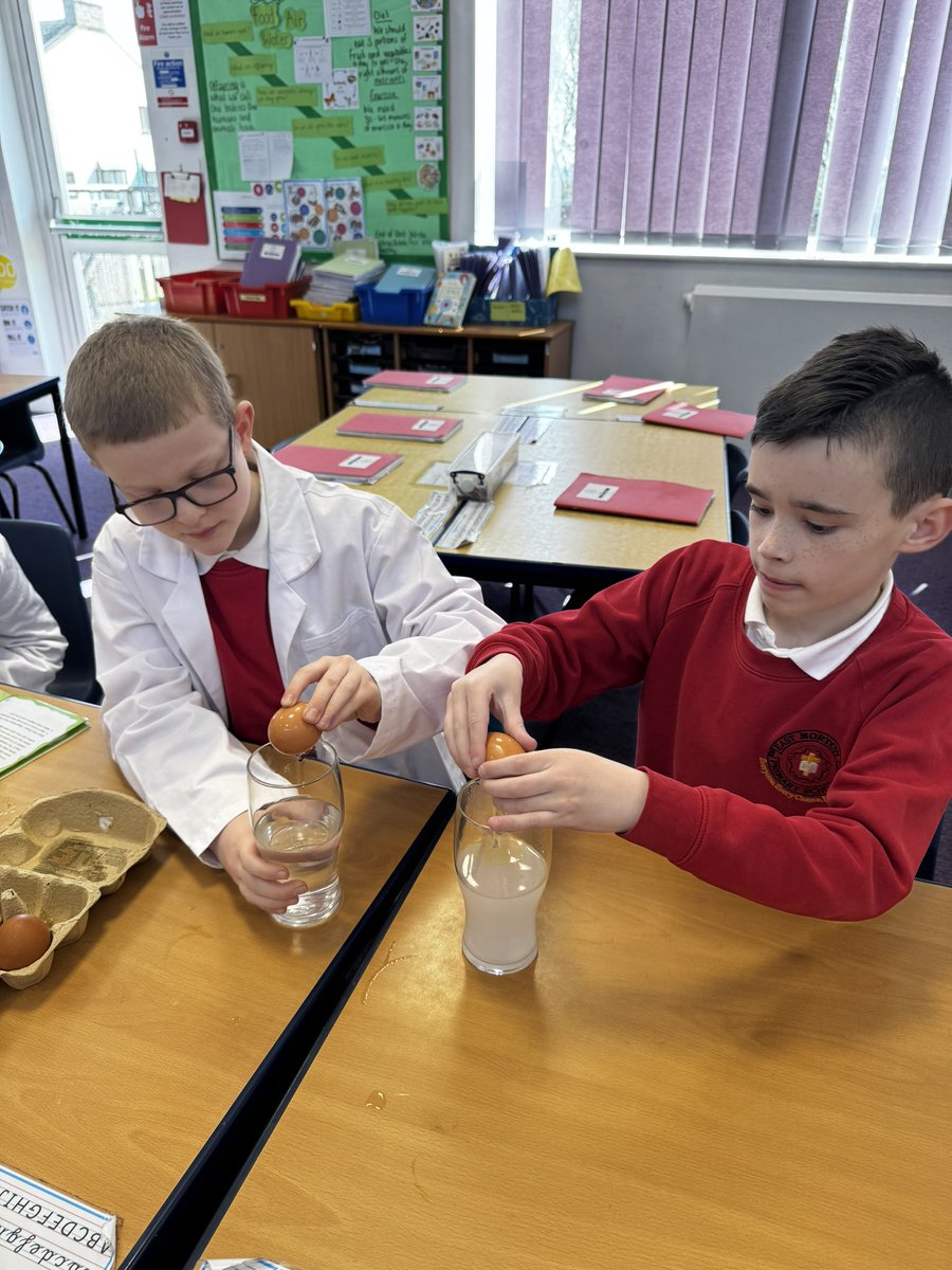 EastMortonCEP's tweet photo. Science Club explored density today…. with some surprising results! 🥚 @WeAreBDAT #ScienceatEM #pupilleadership https://t.co/Su9DfMYMY3