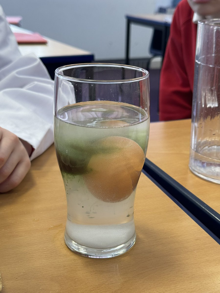 EastMortonCEP's tweet photo. Science Club explored density today…. with some surprising results! 🥚 @WeAreBDAT #ScienceatEM #pupilleadership https://t.co/Su9DfMYMY3