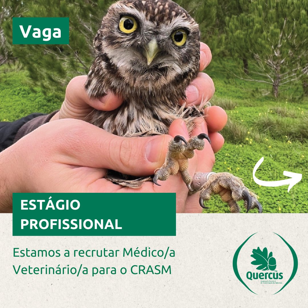 Estamos a recrutar Médico/a Veterinário/a para o CRASM – Estágio profissional

Candidaturas até ao dia 7 de abril de 2024 inclusive.

Requisitos e tarefas em:
shorturl.at/hklRX