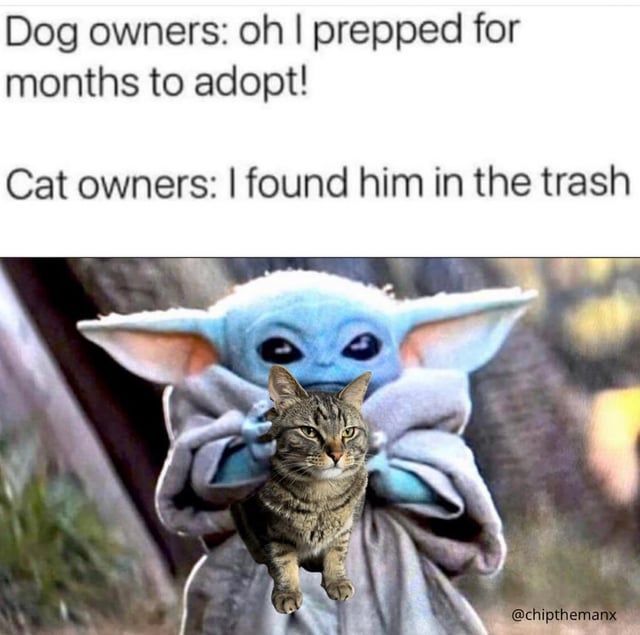 GeekedMemes's tweet photo. https://t.co/Rg5CVjVWMv