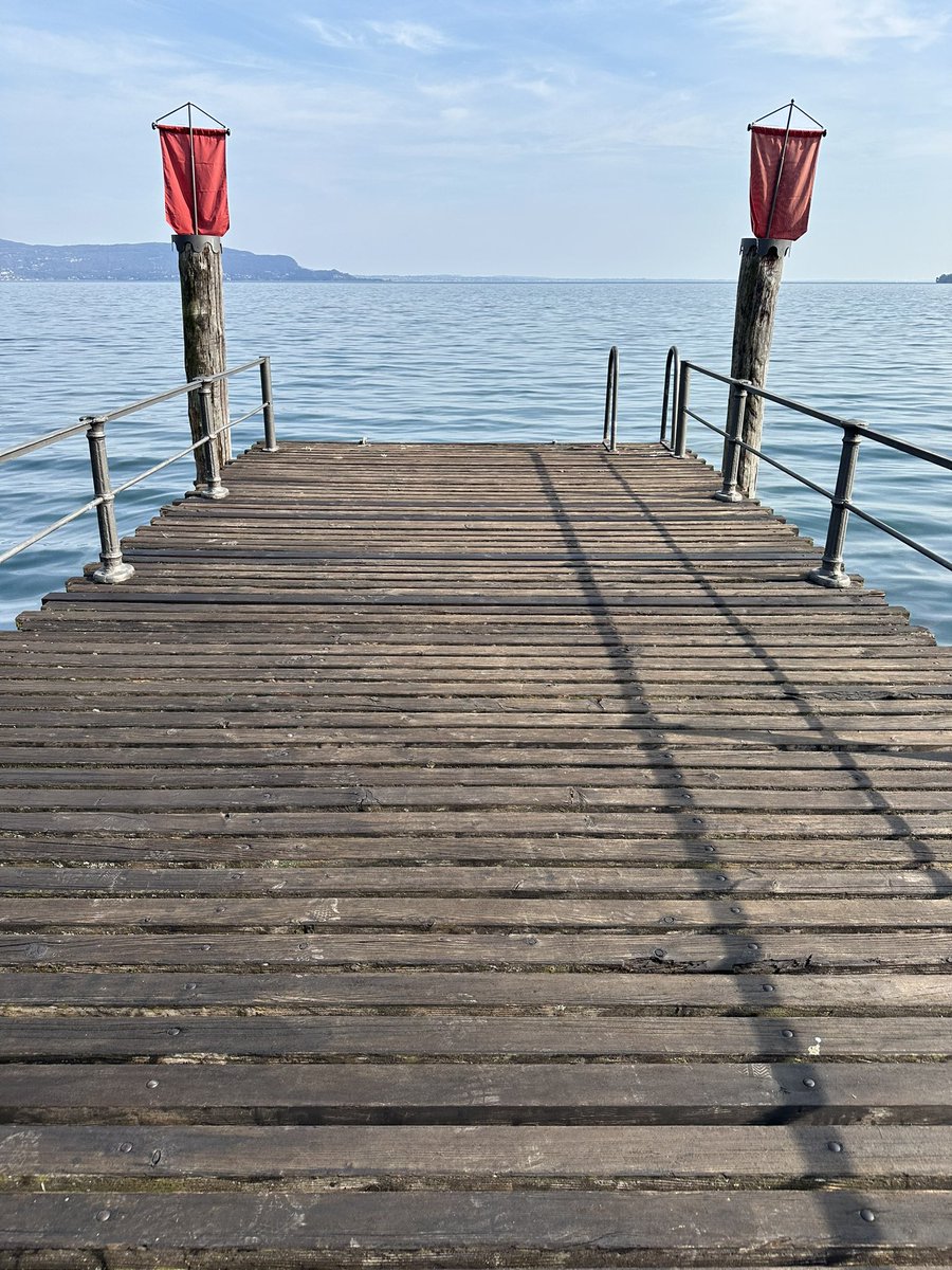 JimShawley's tweet photo. Morning swim in my future for sure! https://t.co/b4qYLplAlI