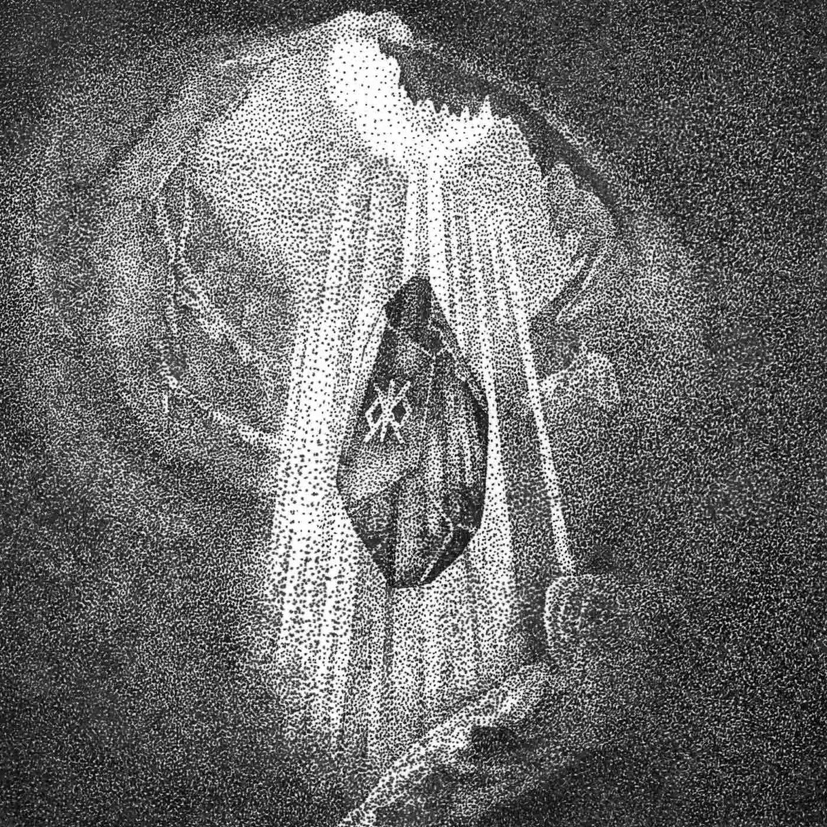 carolevy.btc tweet media