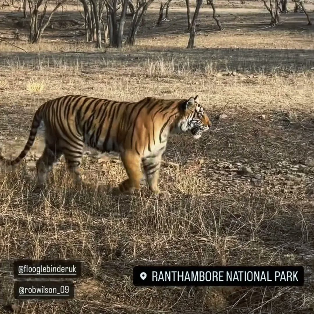 NGHS Outdoor Learning tweet media