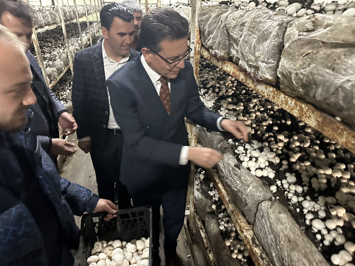 atayuslu's tweet photo. Berfu Mantar üretim tesislerini ziyaret…

Korkuteli mantar üretiminin başkentidir..

Üreticilerimizle buluştuk, 
 Korkuteli Müstakbel Belediye Başkanımız  Sadık Önal ve İlçe Başkanımız Osman Nuri Gök ile beraber mantar üretimi ve pazarlaması üzerine istişarelerde bulunduk. 
#GüzelKorkuteli