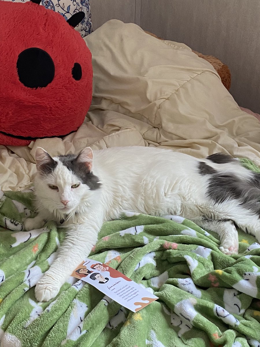 LibrasLibrary's tweet image. When you get to leave work early but a very sweet kitty named Vanna steals your reading spot. She loves the feminism bookmark my library gave me!