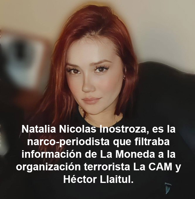 WenaChile tweet media