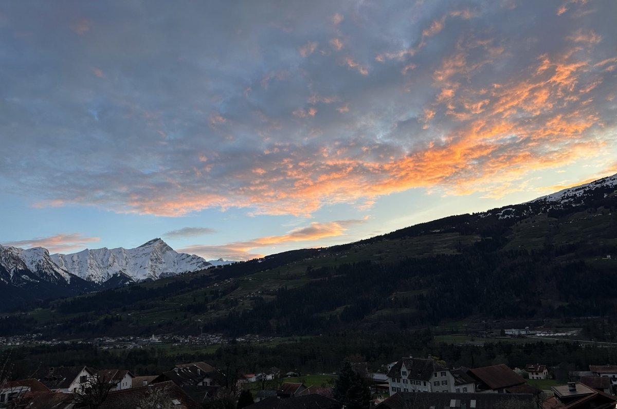 Gaudenz Tscharner tweet media